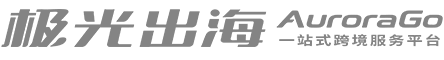极光出海